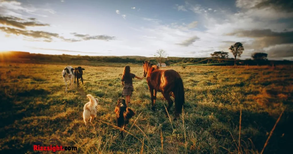 Dirty Dog Rizz Lines