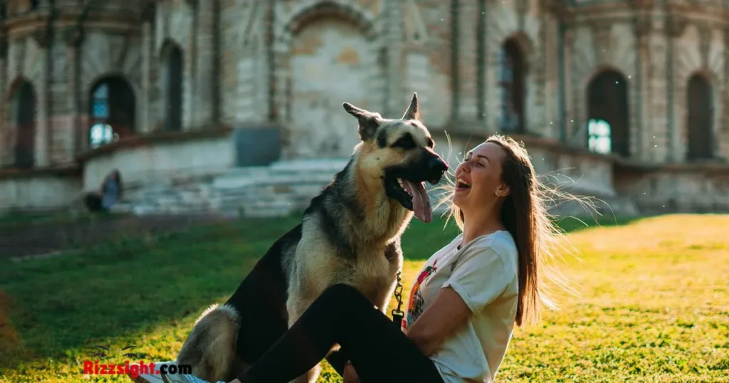 Dog Rizz Lines In English