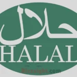 Halal Rizz Lines