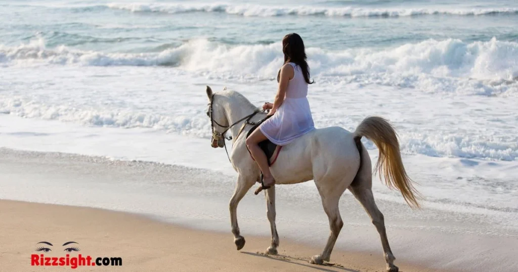 Horse Girl Pickup Lines Reddit