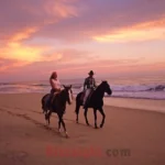 Horse Rizz Pickup Lines