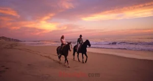 Horse Rizz Pickup Lines