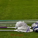 Lacrosse Rizz Lines
