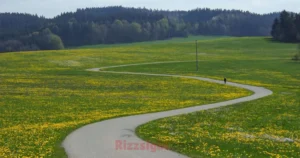 Track Rizz Lines