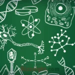 Biology Rizz Lines