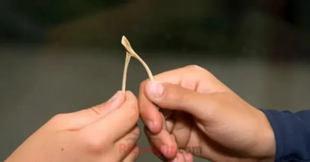 Thanksgiving Wishbone