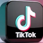 Tiktok Rizz Lines