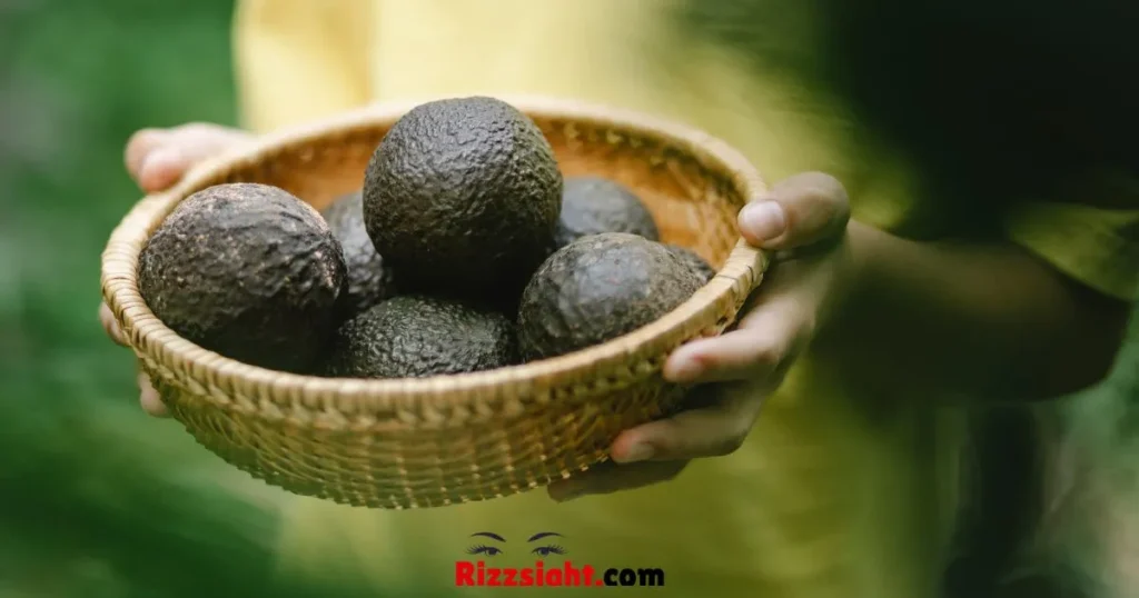 Avocado Rizz Lines