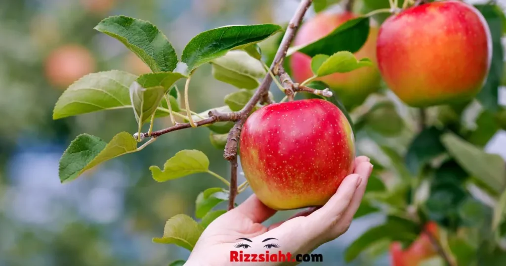 Flirty Apple Rizz Lines