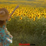 Sunflower Rizz