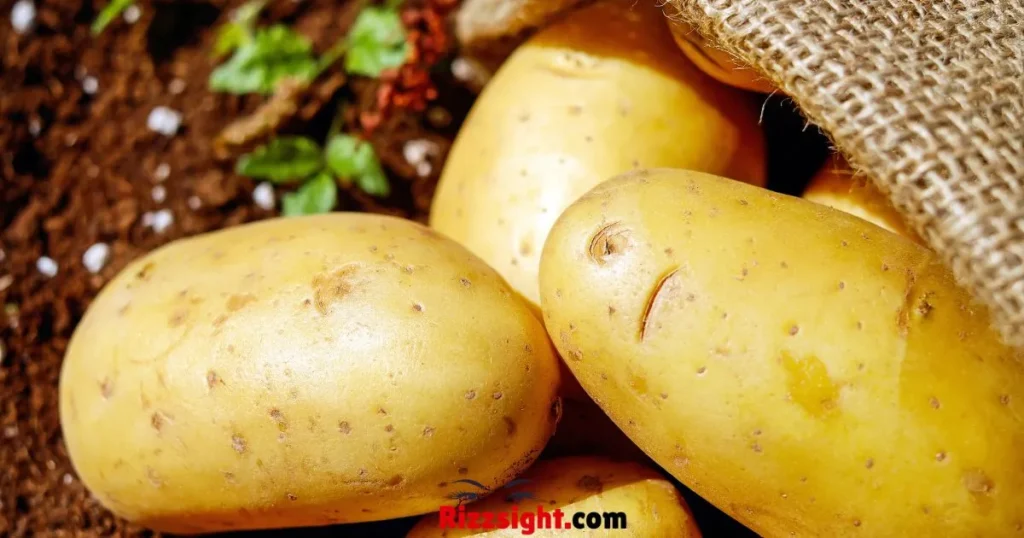 Unique Potato Rizz Lines