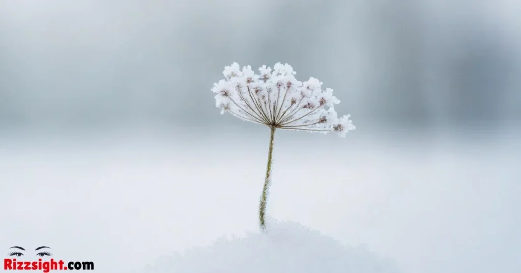 Witty Winter Pickup Lines