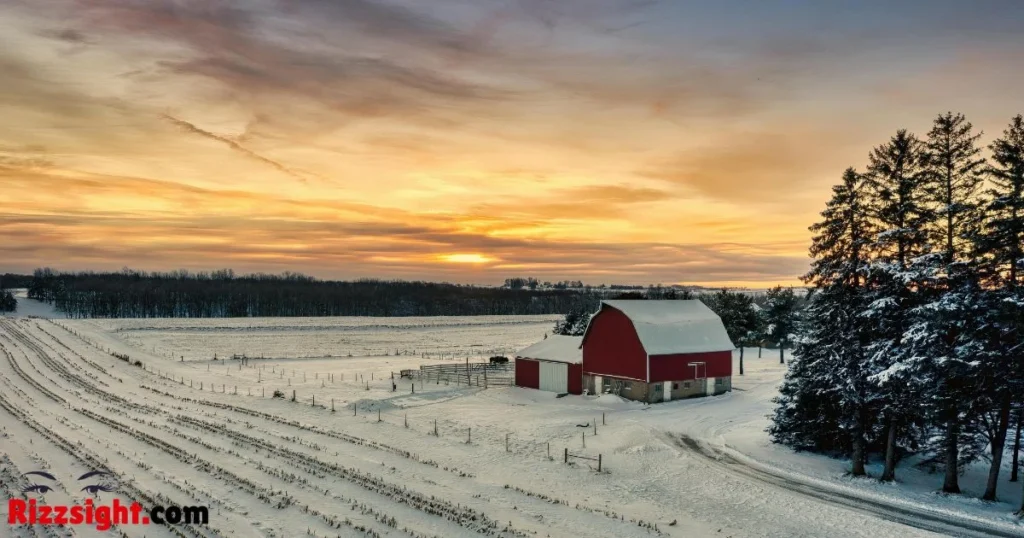 Celebrity Inspired February Rizz Lines