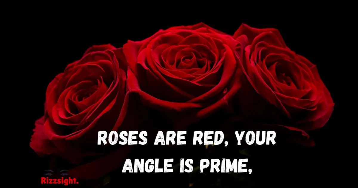Roses Are Red Rizz Poems