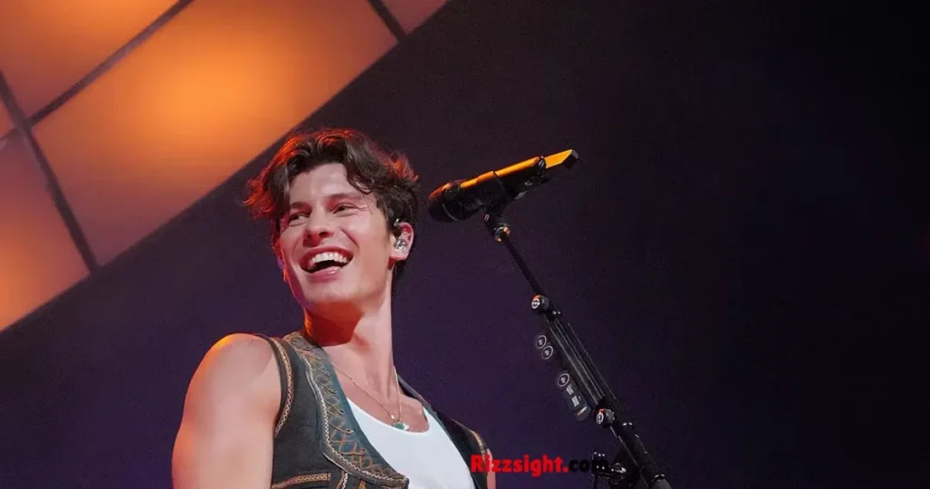 Shawn Mendes Rizz Pick Up Lines