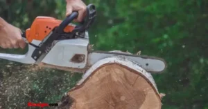 Chainsaw Inverted Puns
