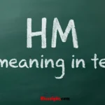 Hm Meaning In Text