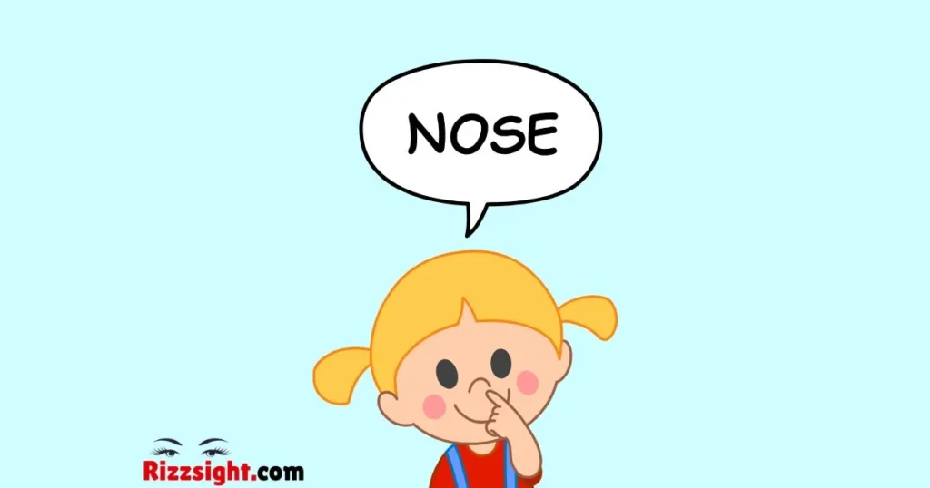 Best Big Nose Jokes