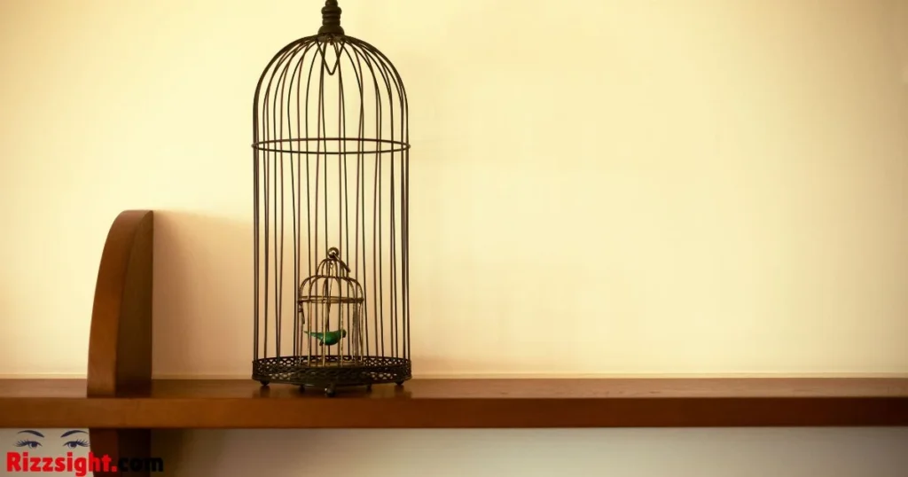 Flirty Cage Rizz Line