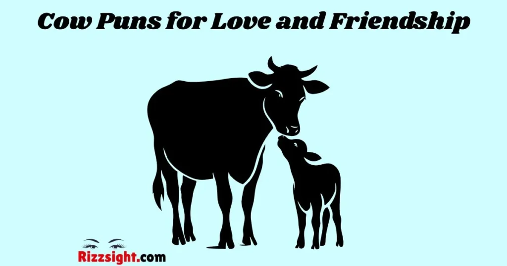 Cow Puns For Love And Friendship