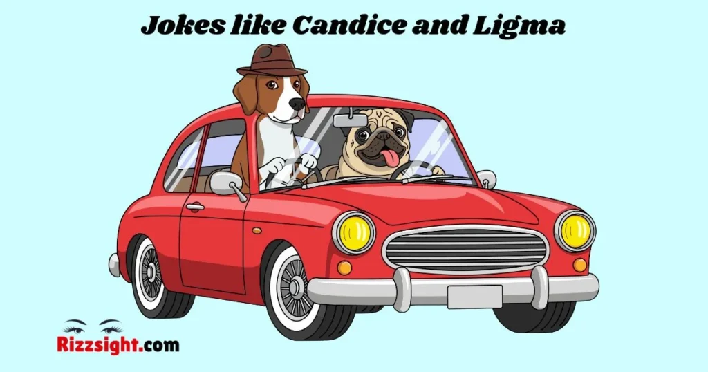 Jokes Like Candice And Ligma